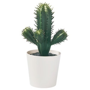 Artificial cactus