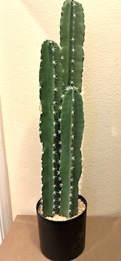 Foam Cactus
