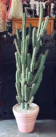 Faux Full Finger Cactus