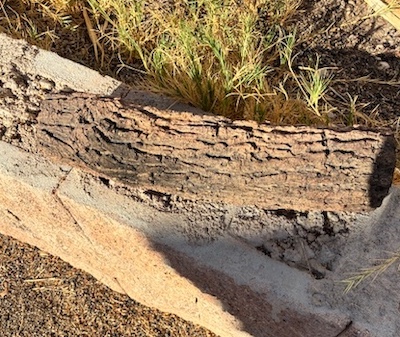 Ceramic Faux Wood Logt