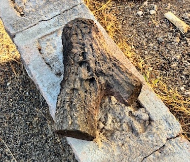 Ceramic Faux Wood Log