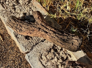 Ceramic Faux Wood Log