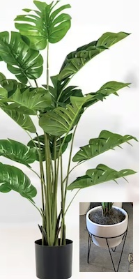 Faux Mostera Plant