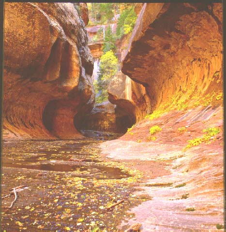 The Subway at Zion