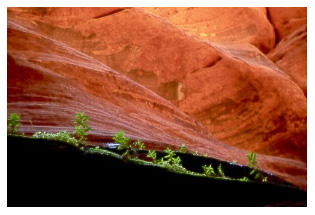 slot canyon salad--click to see a bigger (87kb) version