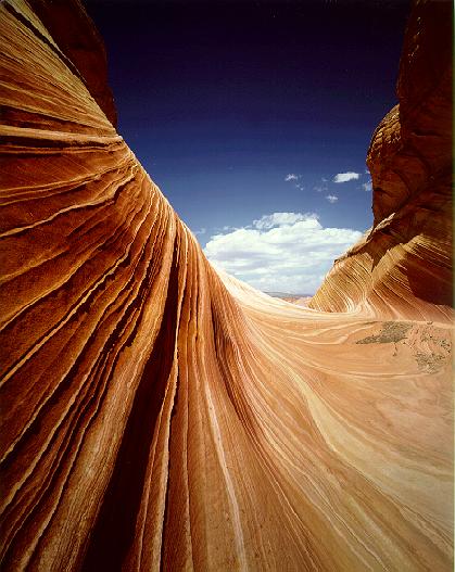 Close to the Wall--feel free to make this your wallpaper in your Win95/98 desktop