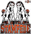 Las Vegas Valley Stampede