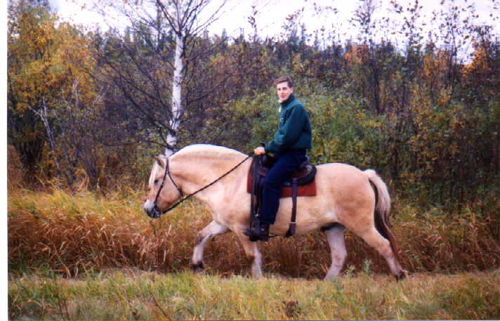 risto2.jpg (54640 bytes)