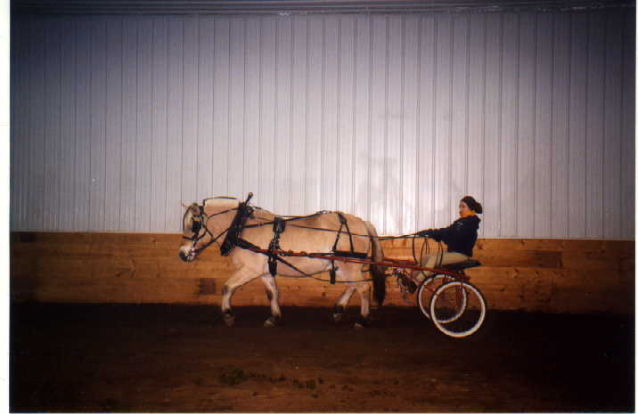 risto7.jpg (27423 bytes)