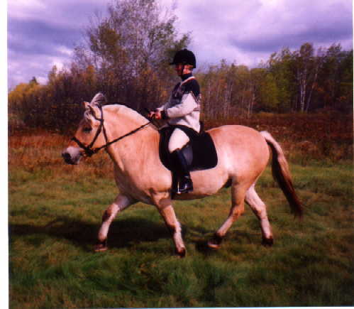 risto8.jpg (25870 bytes)