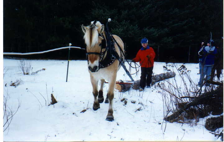 risto9.jpg (35207 bytes)