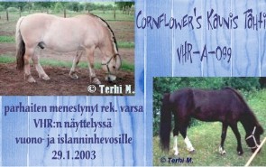 tahtibansku.jpg (23704 bytes)