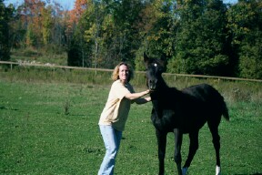 click here to see AlBaraq