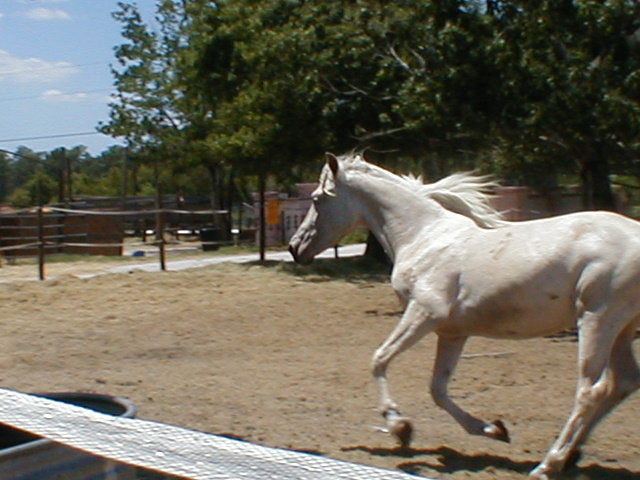 click here to see Heathermoore Ariana