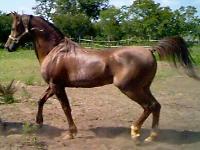 click here to see Om Il Classi