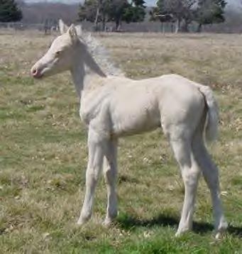 click here to see MEMC Finest Hour