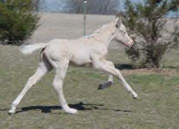 click here to see MEMC Legally Blond