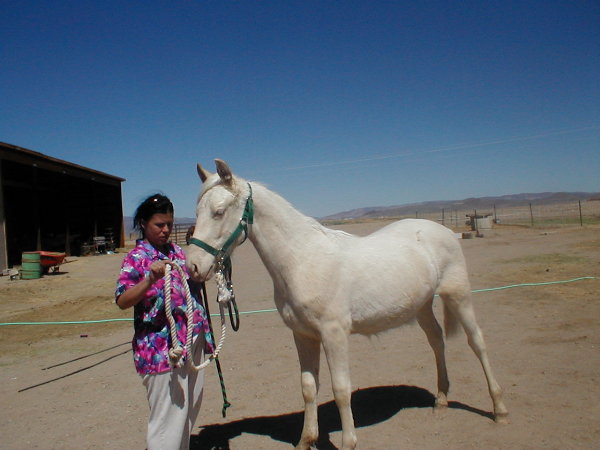 click here to see White Knight