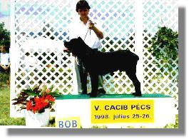 Best of the Show - P�cs, 1998 j�lius 26.