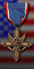 For participating and giving devotion to the squad and that of France for a period of no less than 15 months (5qtrs)  Storm is hereby awarded the Medaille DuVol Two Stars