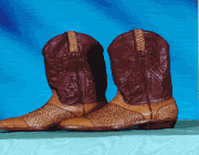 Shark Skin Boots