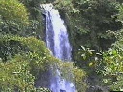 Traf falls2