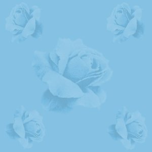 palebluerose/lt.blue