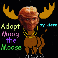 Moogi the Moose