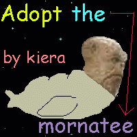 Adopt your own Mornatee now!