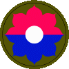9th Div Patch