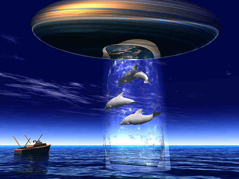 [ufo saving the dolphins from a waiting trawler ]