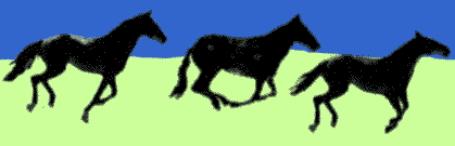 gallopcp.gif (29641 bytes)