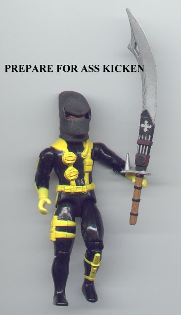 PREPARE FOR NINJA ASS KICKEN