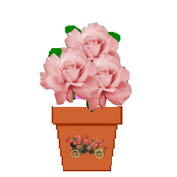 The Site Fights Spirit Flowers