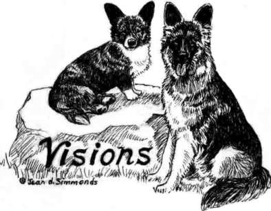 visionslogo2a.jpg (16661 bytes)