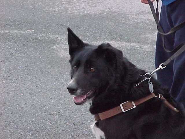 Cody waiting his turn