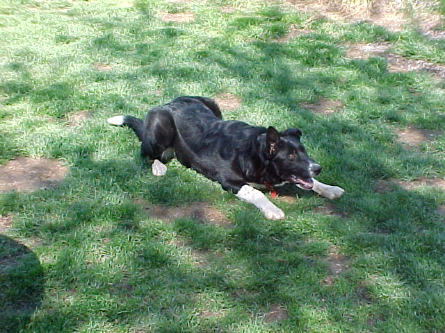 Cody Staring at find