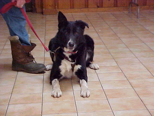 cody @
 Kenan center