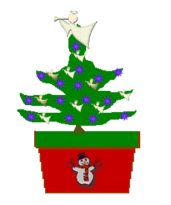 The Site Fights Growing XMas Trees