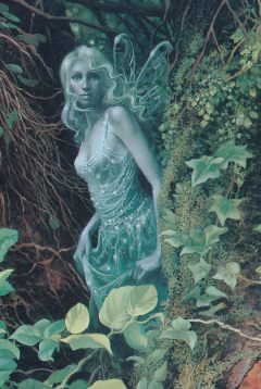 Forest Faery