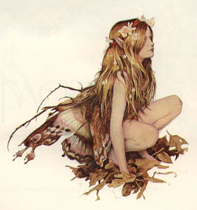 My Favorite Faery