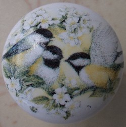 Cabinet knobs Chickadee