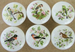 CERAMIC CABINET KNOB DOMESTIC BIRDS