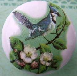 CERAMIC CABINET KNOB BLUE JAY