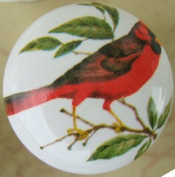 CERAMIC CABINET KNOB CARDINALS