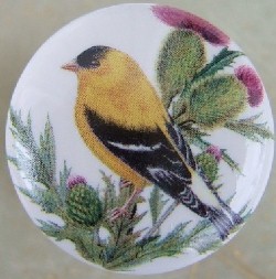 Cabinet knobs Goldfinch