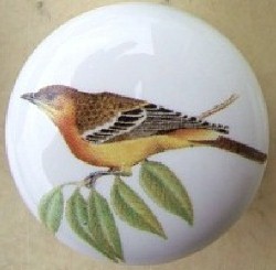 Cabinet knobs Oriole