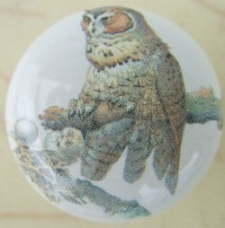CERAMIC CABINET KNOB OWL OWLS