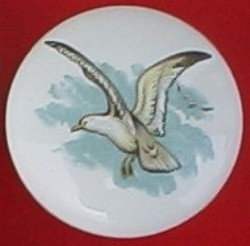 CERAMIC CABINET KNOB SEAGULL SEAGULLS