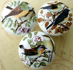 Cabinet knobs Three Domestic Birds